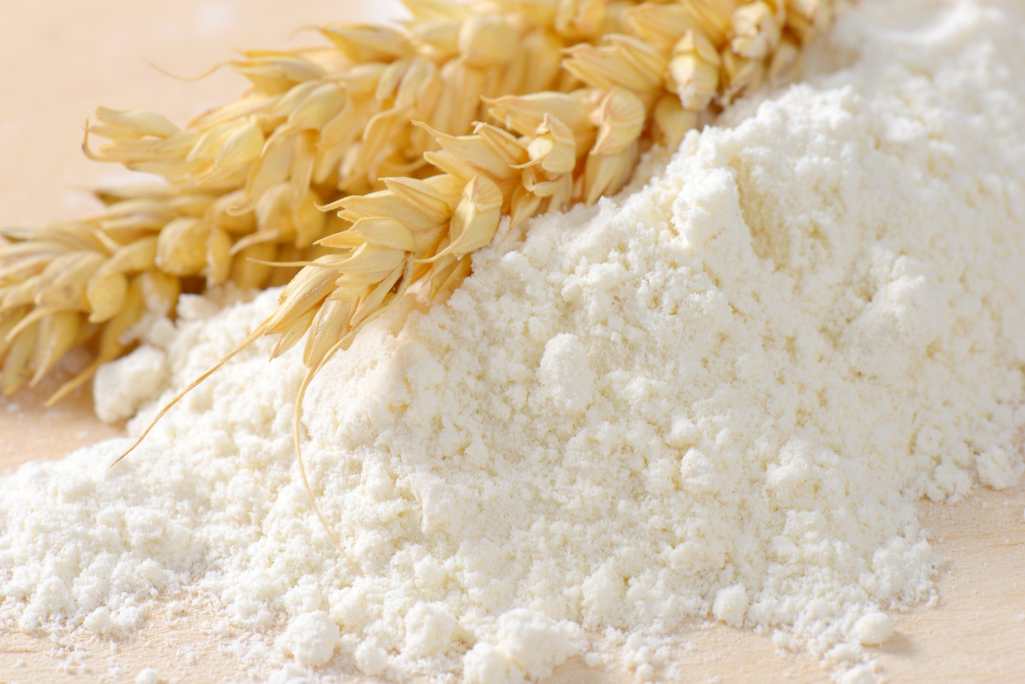 wheat flour and wheat ears